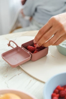 Контейнер для пустышки BIBS Liberty - Eloise - Blush