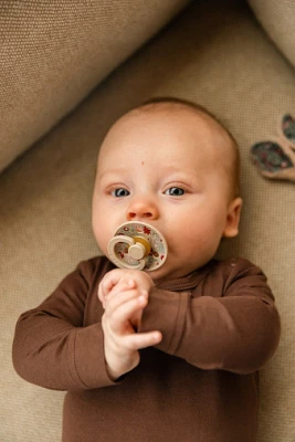 Набор пустышек латексных BIBS Liberty Colour, 2 шт. - Chamomile Lawn - Woodchuck Mix, 6+ мес.