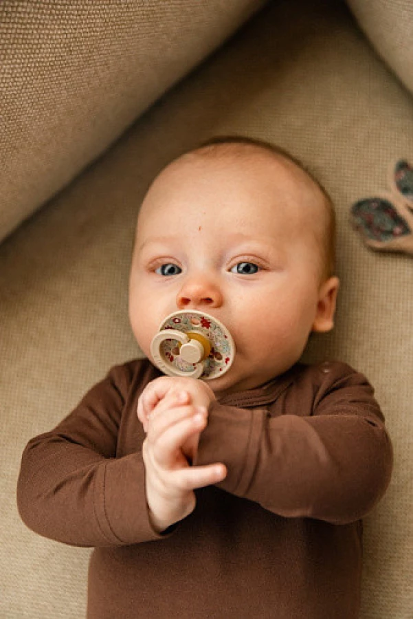 Набор пустышек латексных BIBS Liberty Colour, 2 шт. - Chamomile Lawn - Woodchuck Mix, 6+ мес.