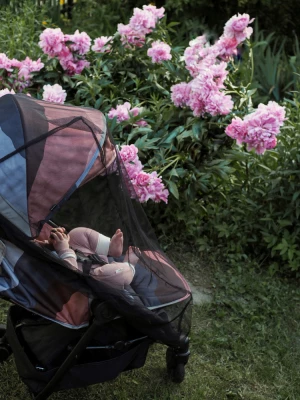 Elodie москитная сетка